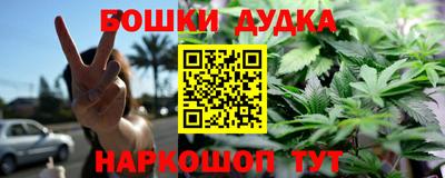 2c-b Камышлов