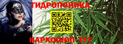 2c-b Камышлов