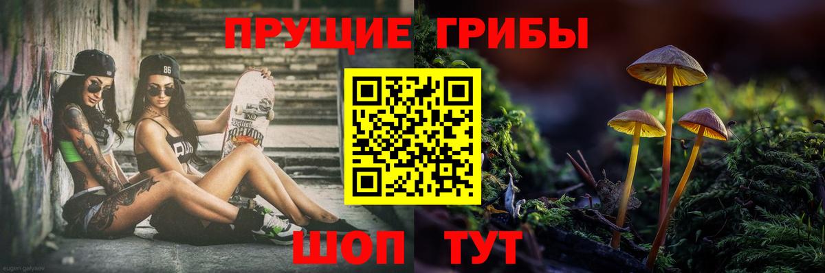 Псилоцибиновые грибы ЛСД  Псилоцибиновые грибы GOLDEN TEACHER  Вход с VPN  купить   Лосино-Петровский 